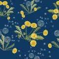 Seamless vector. Yellow dandelion flowers with leaves on a dark blue background. Colorful stylish floral.